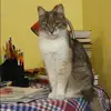 Отзыв от Эльмира Третьякова